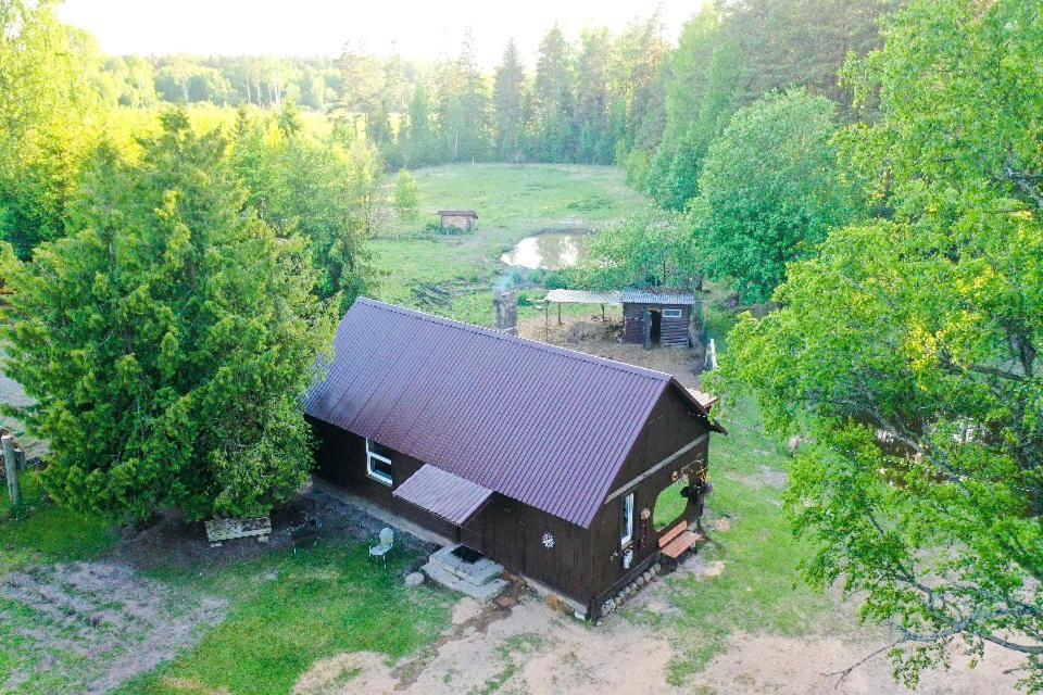 Private Farm Jakuzzi Sauna In The Forest 탈시 외부 사진