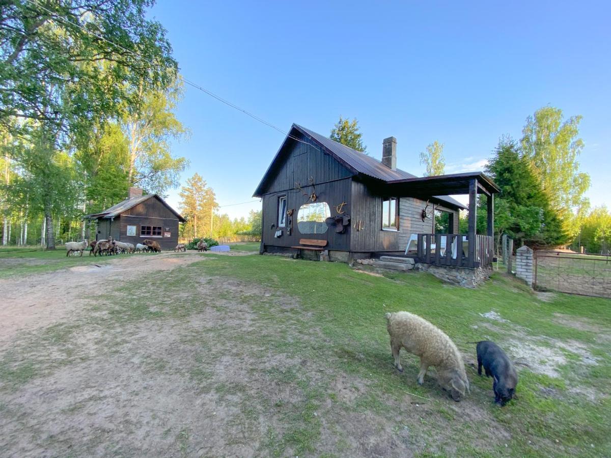 Private Farm Jakuzzi Sauna In The Forest 탈시 외부 사진