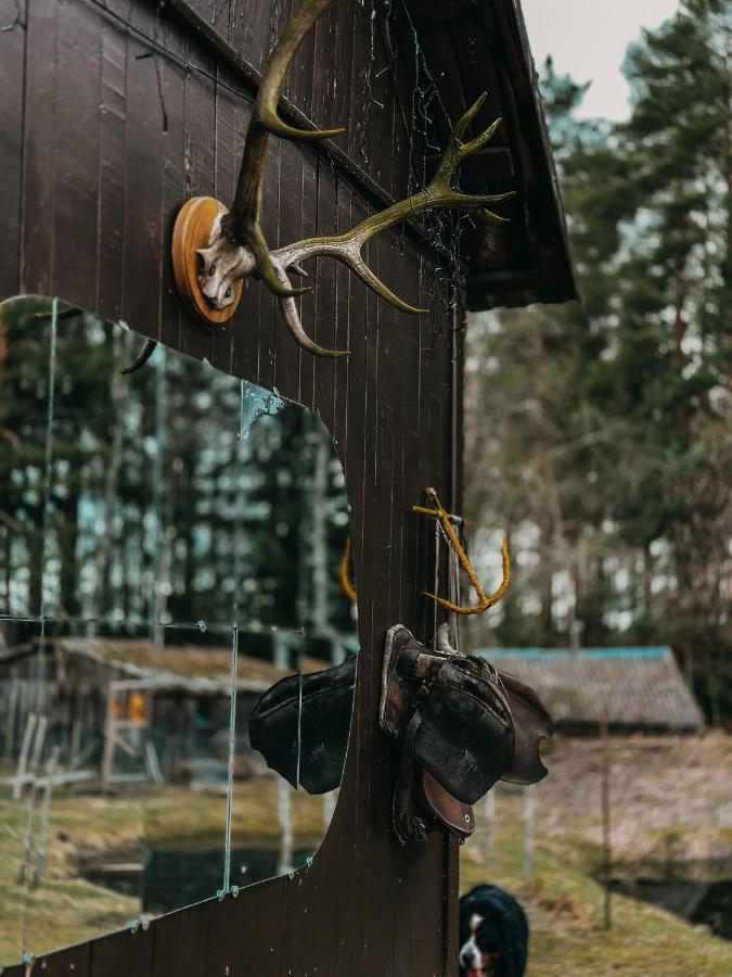 Private Farm Jakuzzi Sauna In The Forest 탈시 외부 사진